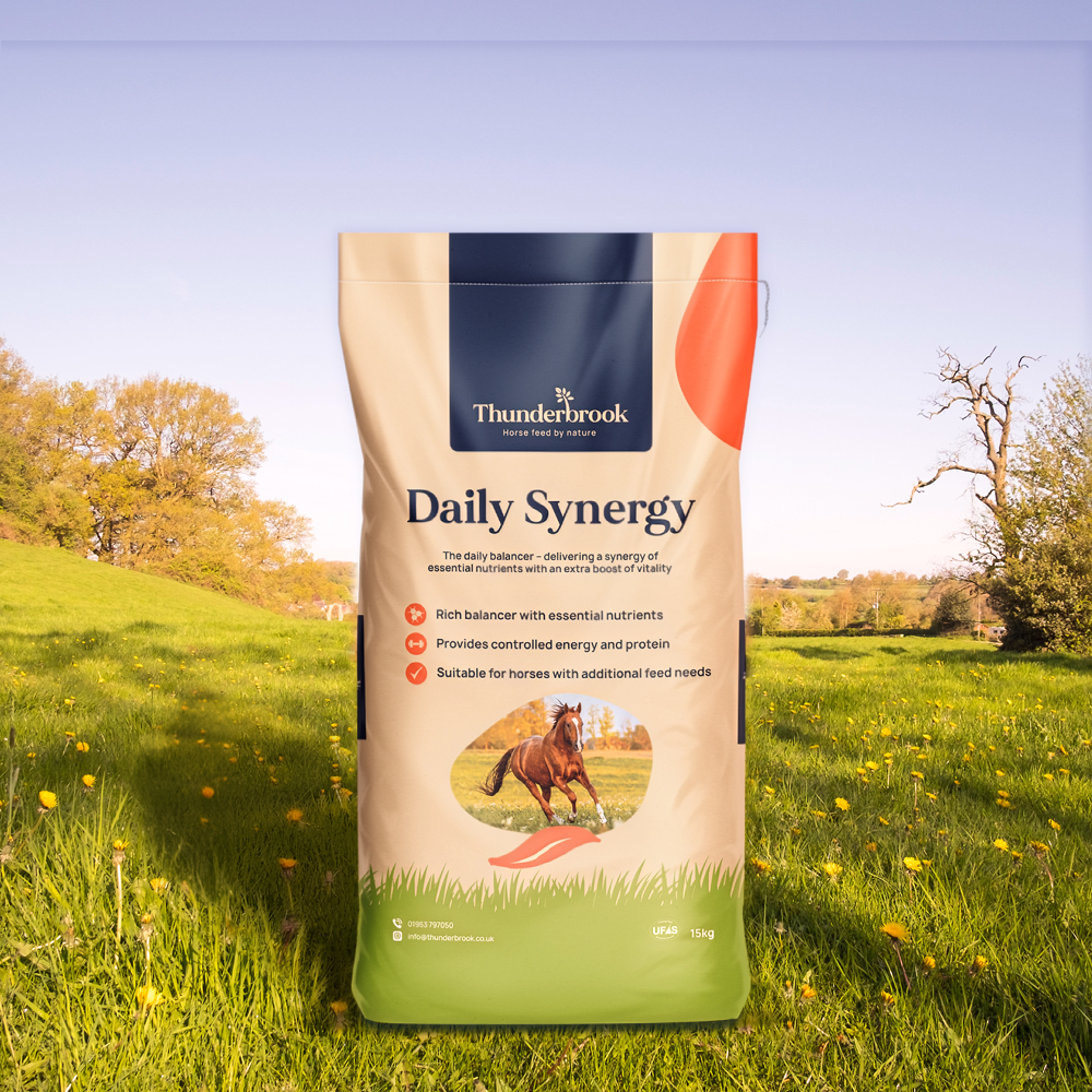 Thunderbrook Synergy horse feed bag in a grass field
