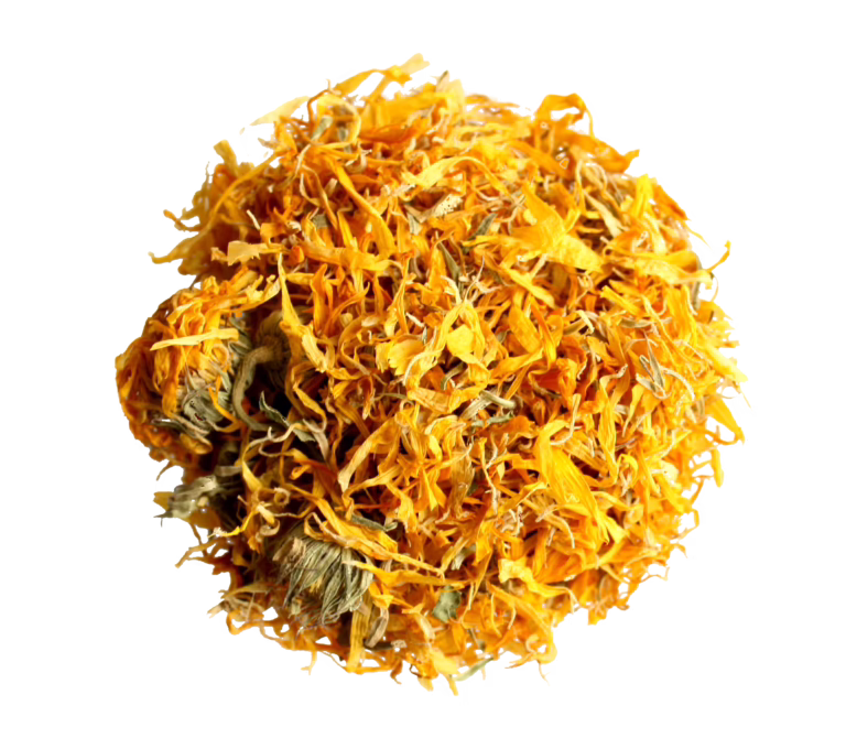 Calendula Flowers