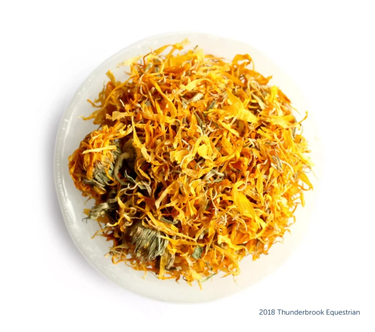 Calendula-Flowers-Whole-1-scaled-1