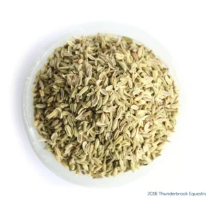 Fennel seed 1kg