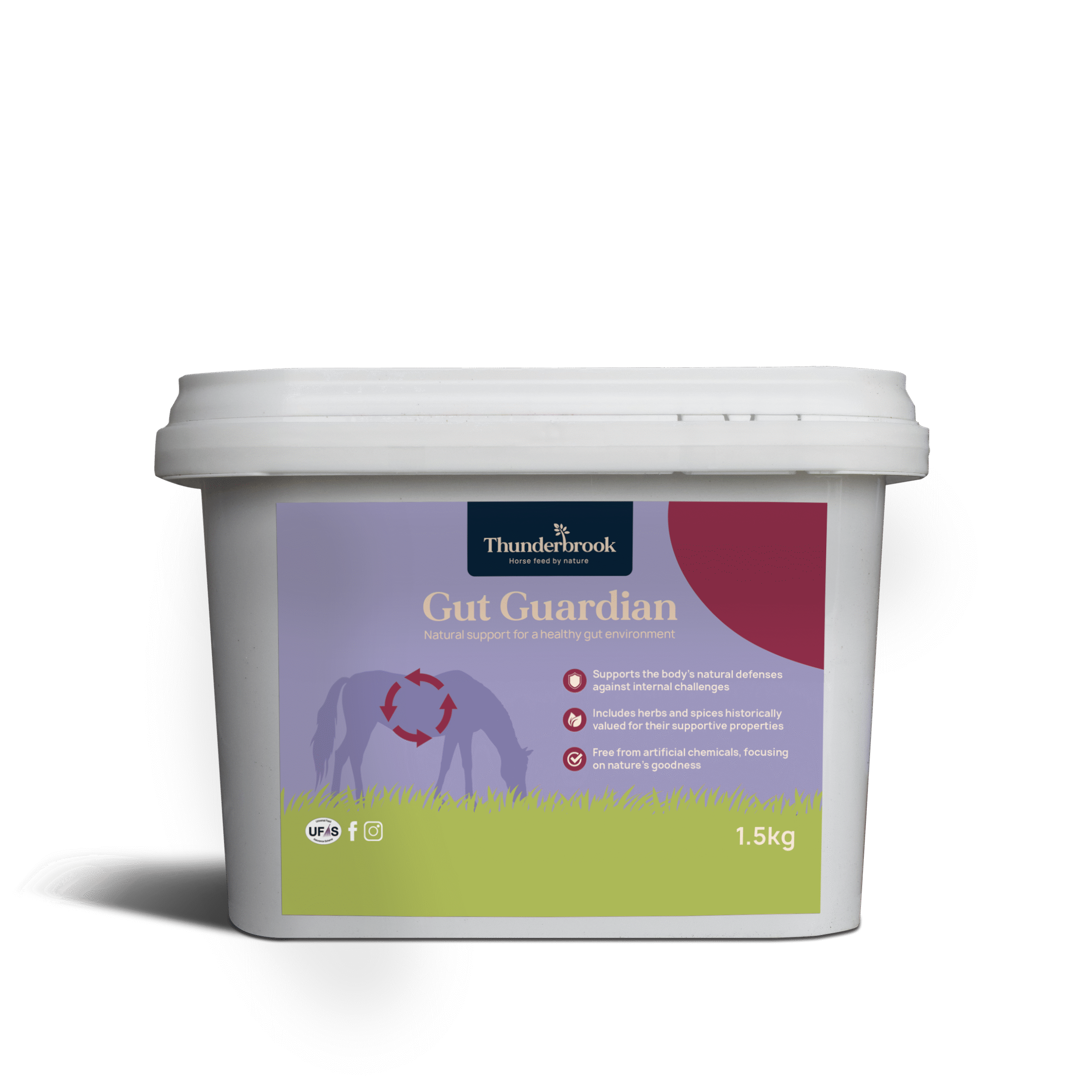 Thunderbrook Gut Guardian (formally Verm Cleanse)