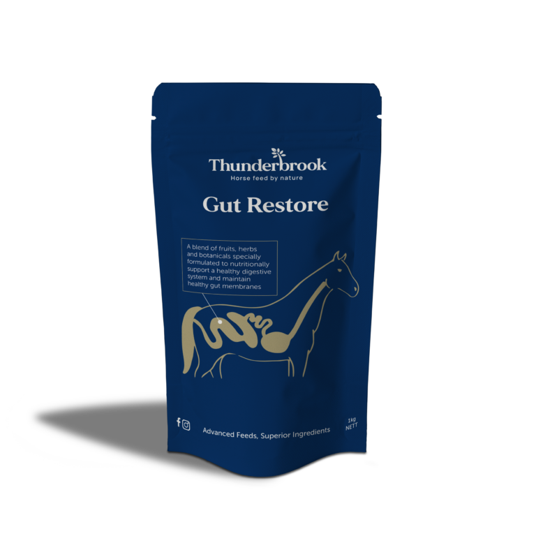Gut Restore 1kg Shadow