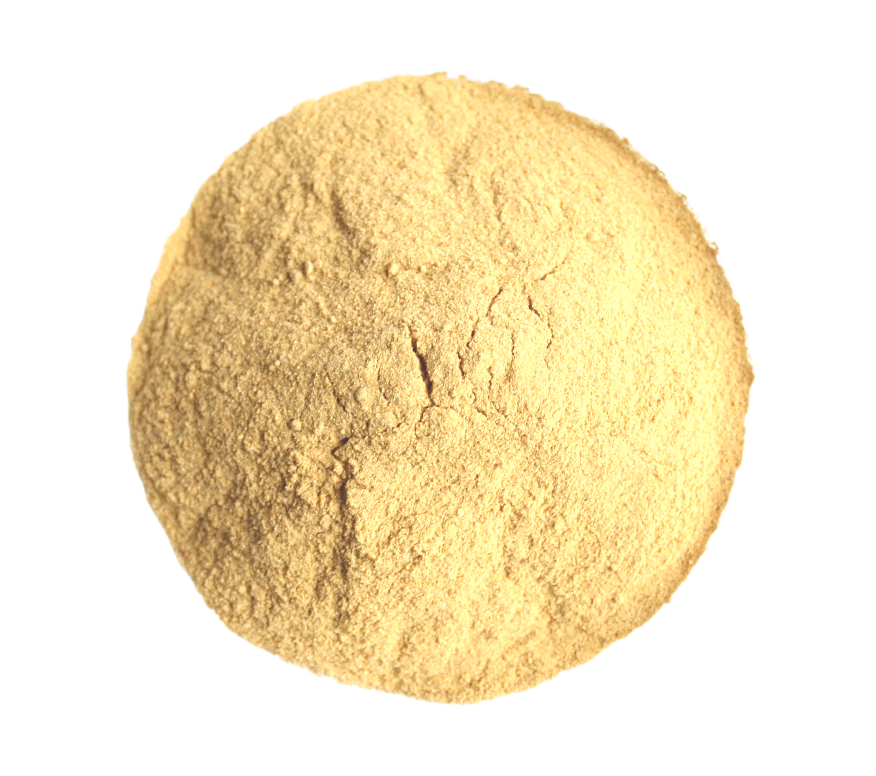 Orange Peel Powder
