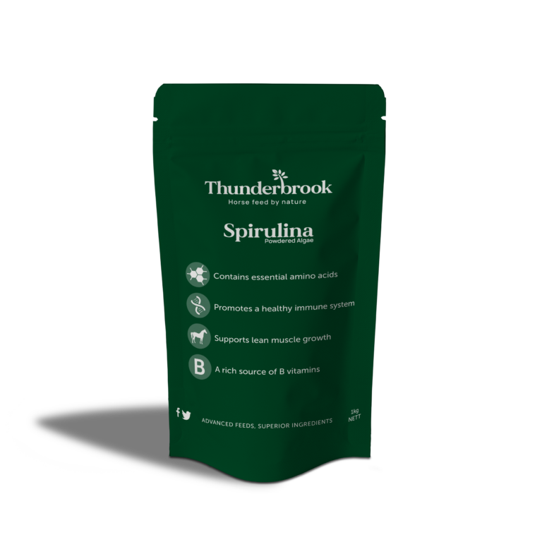 Spirulina 1kg Shadow