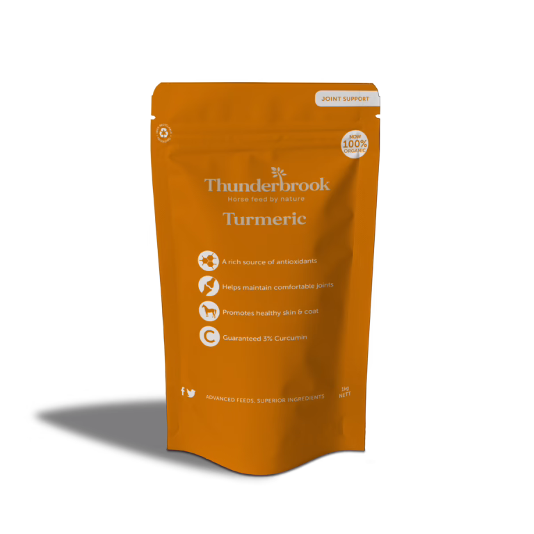 Organic Turmeric Pouch 1kg