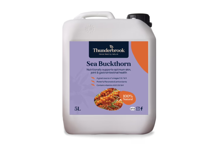 Sea Buckthorn Bottle 5ltr
