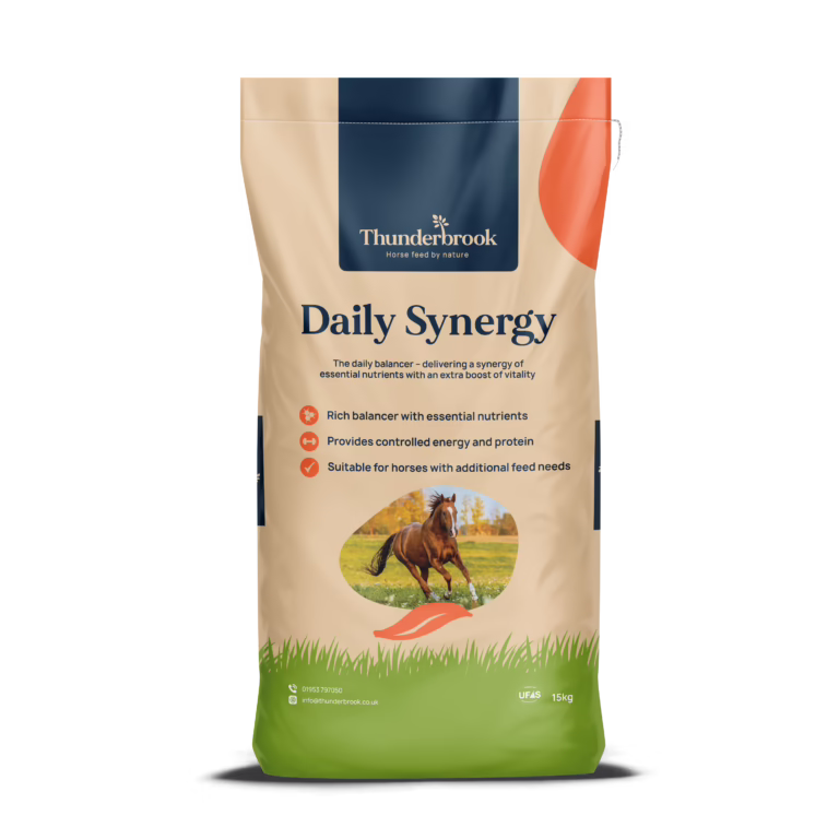 Synergy Bag 15kg