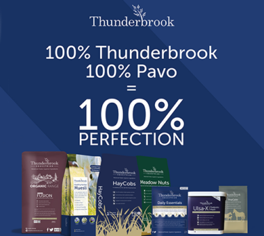 PAVO & Thunderbrook – Two companies, one heart