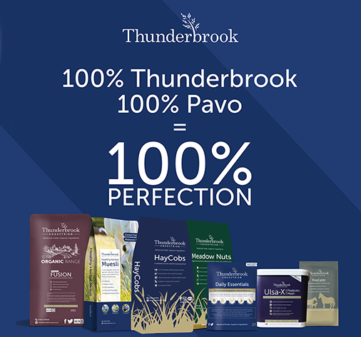 PAVO & Thunderbrook – Two companies, one heart