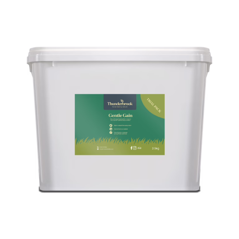 Top portion of a white plastic container with a green label for Thunderbrook Gentle Gain pet supplement visible on the front.