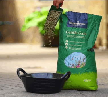 Gentle Gain – with the power of Rice Bran and Sainfoin