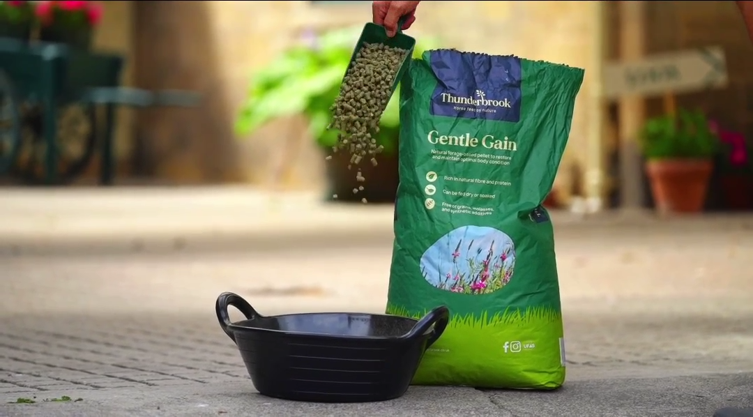 Gentle Gain – with the power of Rice Bran and Sainfoin