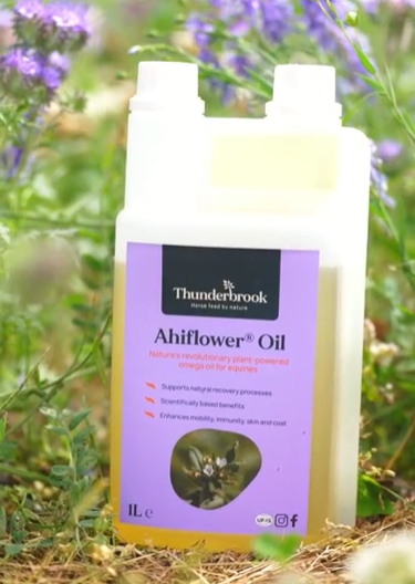 Thunderbrook Ahiflower®Oil 