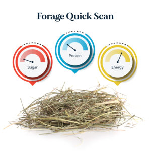 Thunderbrook Forage Quick Scan - Nutritional Analysis