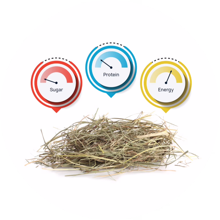 Forage Quick Scan Icon