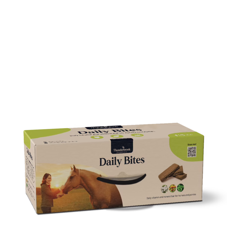 Thunderbrook Daily Bites
