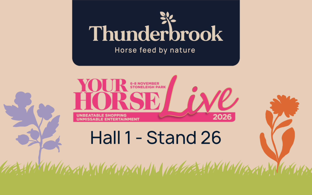 Thunderbrook At Your Horse Live 2026